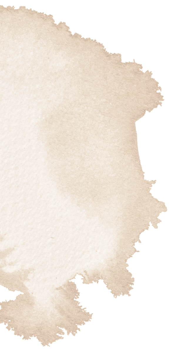 section-1-left-element